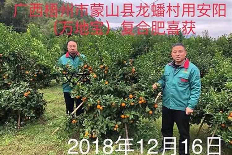 不能加有机硅的农药