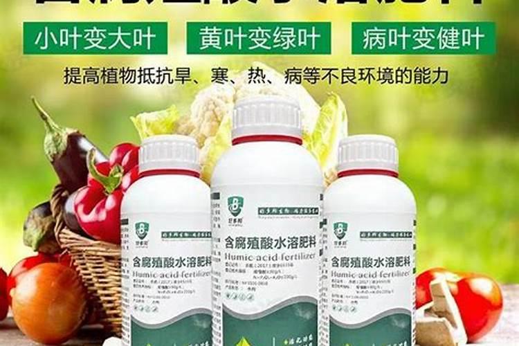 请问专家:中稻田在什么时间段施钾肥,标准亩施多少？