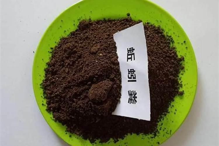 盆栽夏天能换盆吗 可以在夏天给盆栽换盆吗