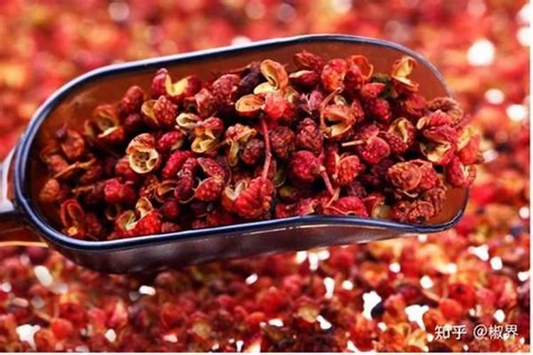 富贵竹怎么施肥