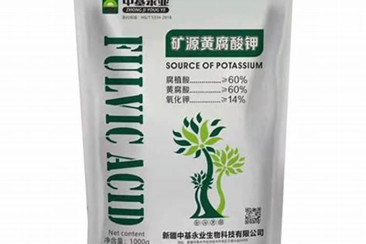 富贵竹怎么施肥