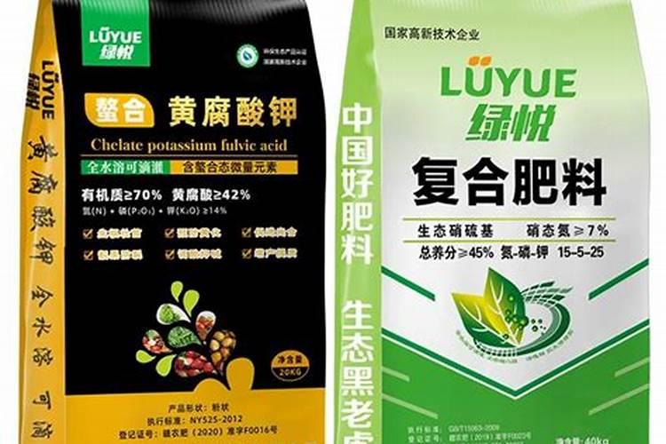 银杏树施什么肥最好