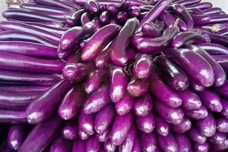 水溶肥好还是复合肥好