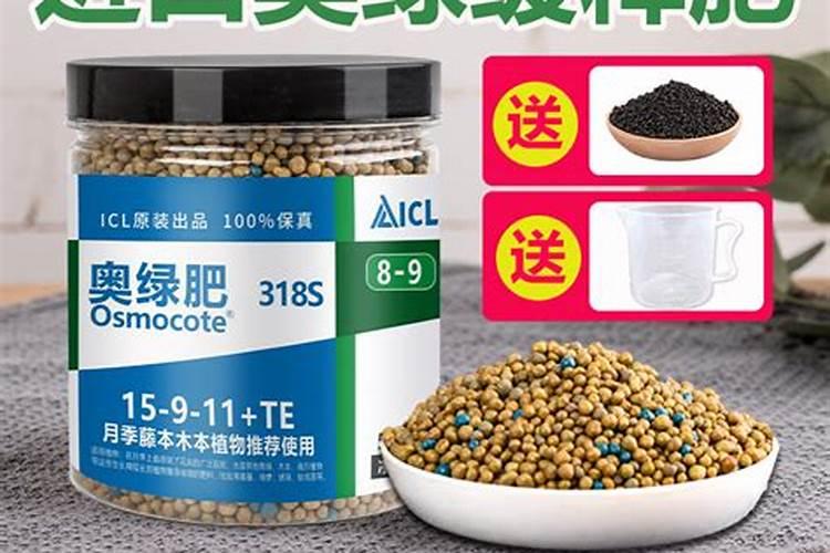 兰花要施什么肥料好