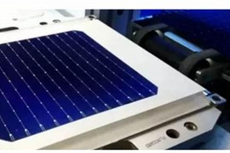 阳光玫瑰全年施肥管理 一年施肥要领有哪些