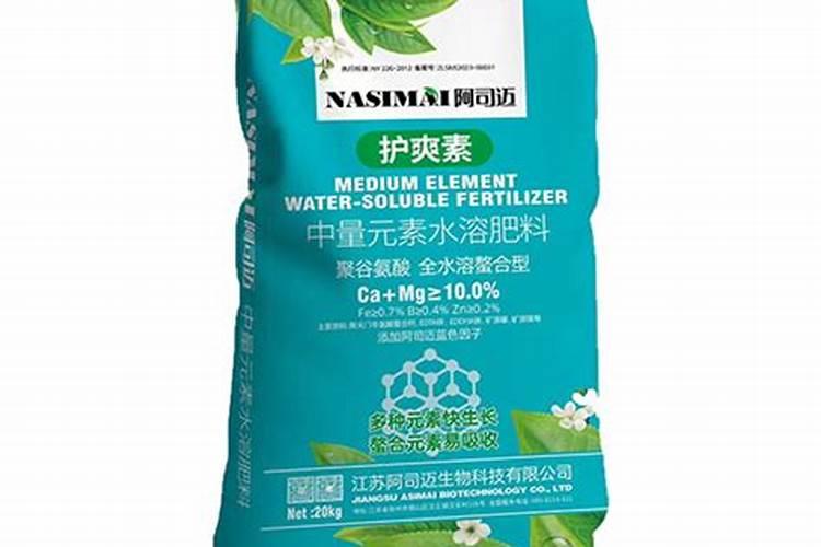 请问茶花需要天天浇水吗