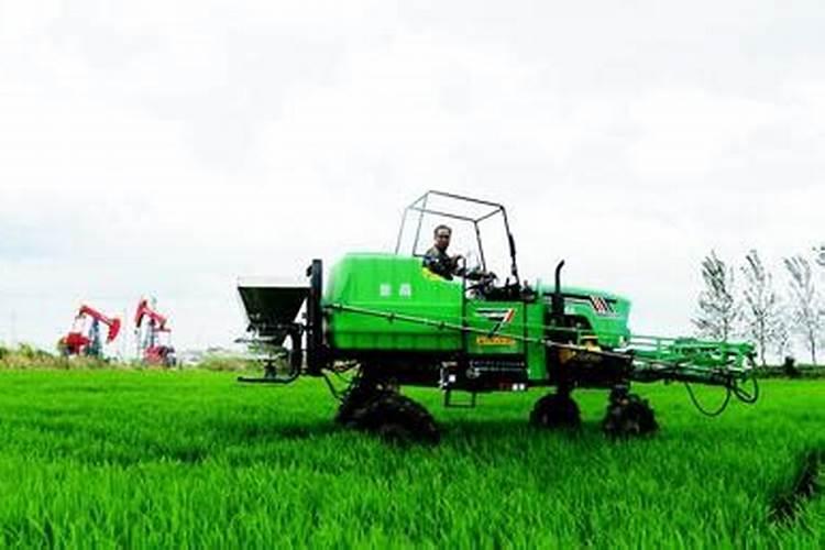 钾肥怎么施效果好