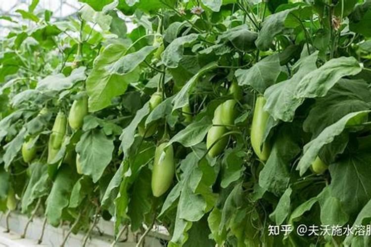 磷酸二氢钾可以用什么代替