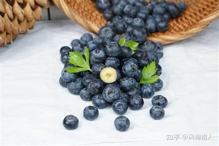 蓝莓用什么肥料？