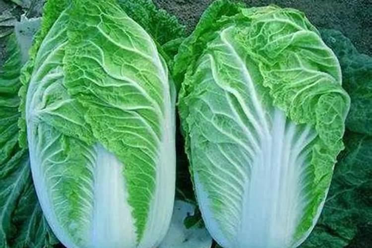 大白菜保存文件恢复