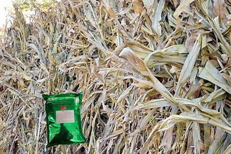 木屑发酵成为可用肥料的具体做法是怎样的