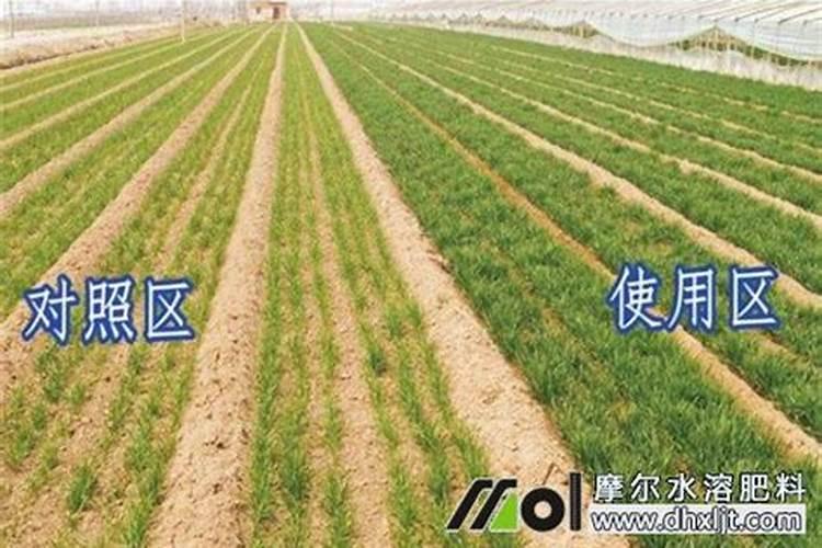 钾肥和氮肥能一起用吗