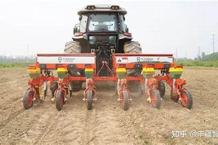 葡萄树施什么肥好