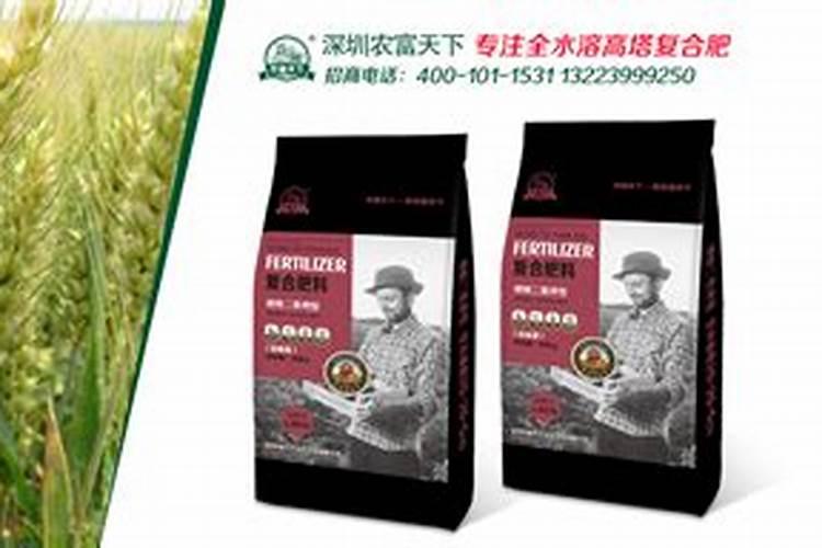 广藿香的应用以及搭配偏方