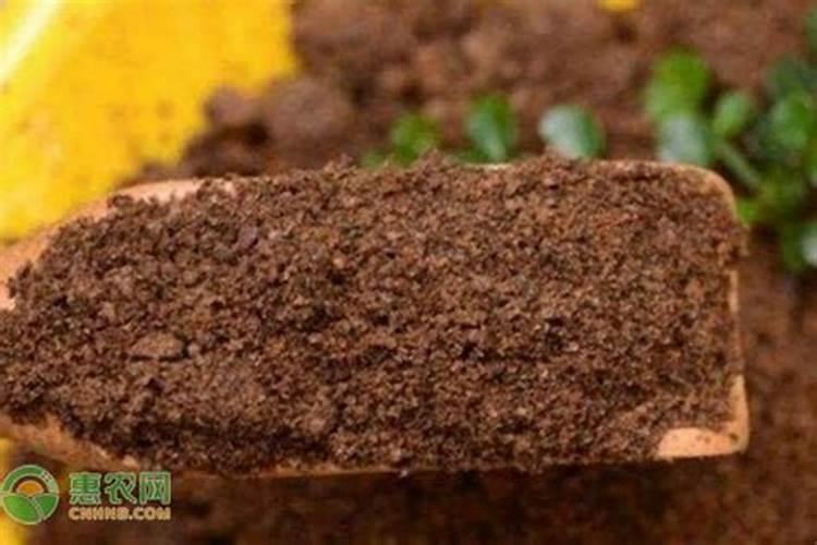 硝态氮肥正确使用方法