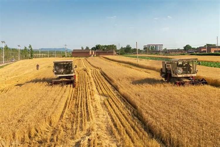 国家对荒田有什么政策