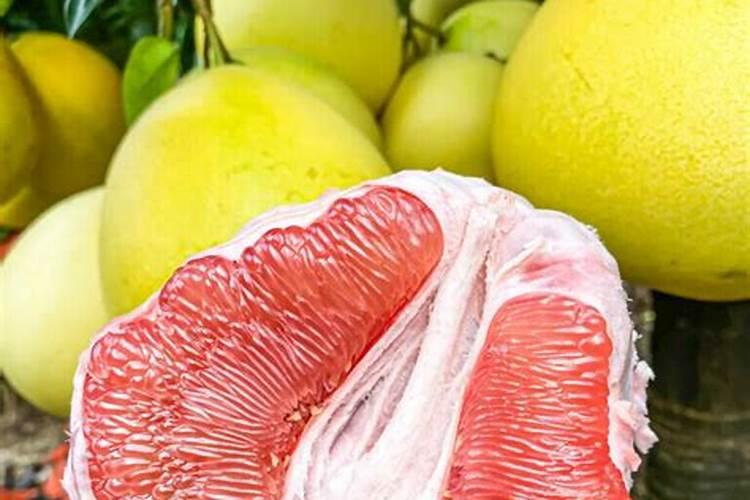 红心蜜柚苗施用肥料