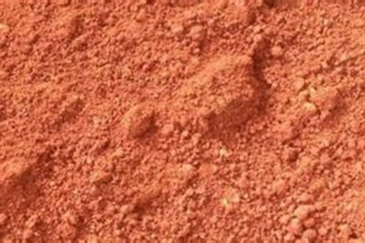 生姜含有哪些微量元素