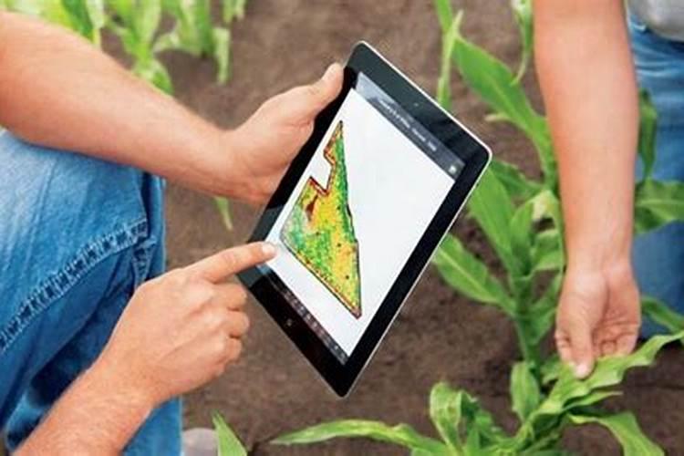 盆景四季施肥方法