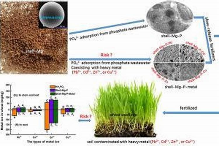 磷肥的氟化物、放射性物质、重金属、三氯乙醛对环境污染及危害？氟化物...