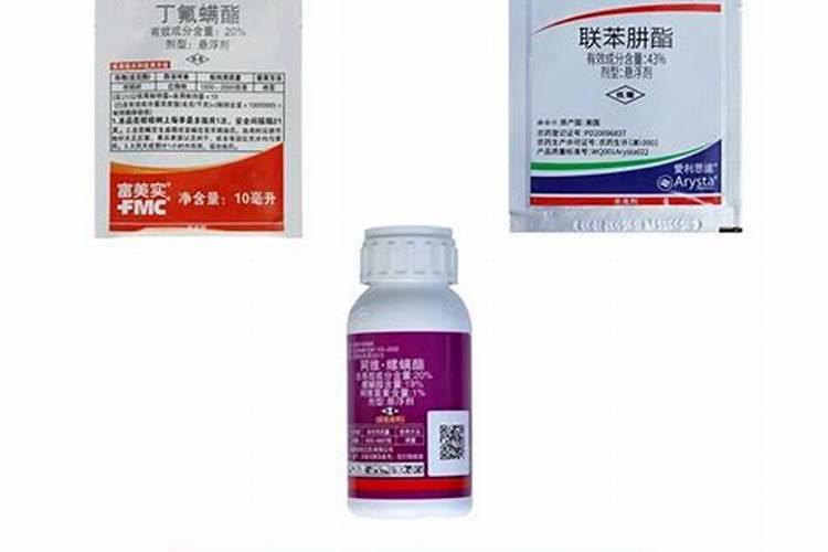 请问各位专家,红蜘蛛虫灾后叶子变黄变干怎么办呢