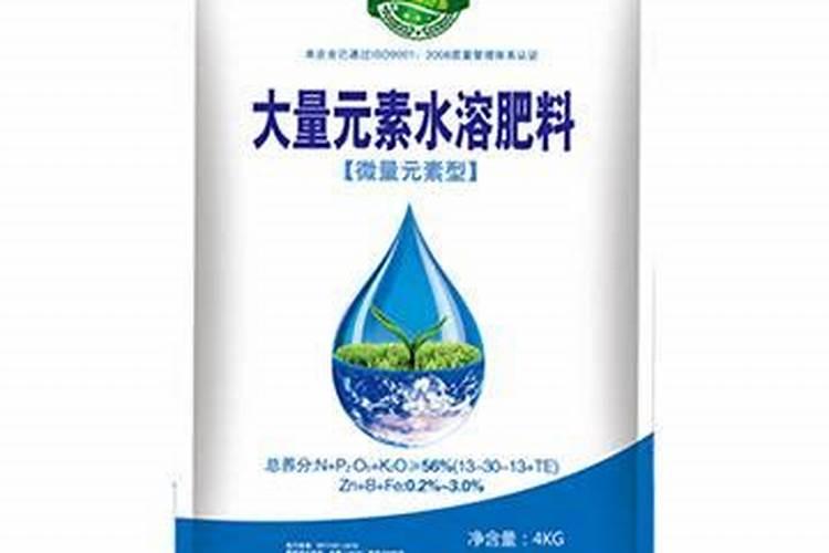 菠萝可以减肥吗