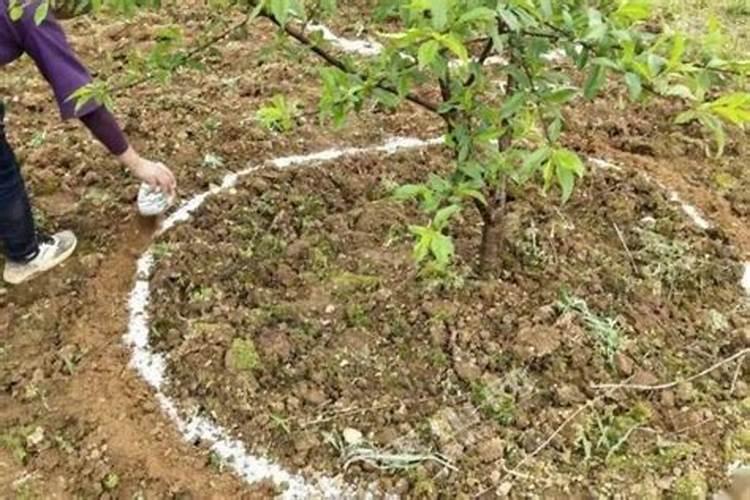 氯酸钾加水能当肥料吗？