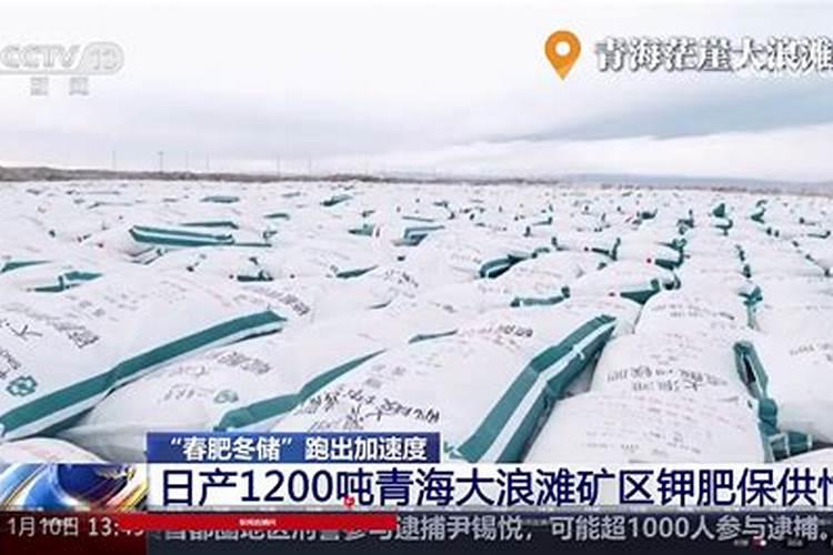 水培植物叶子发黄怎么办