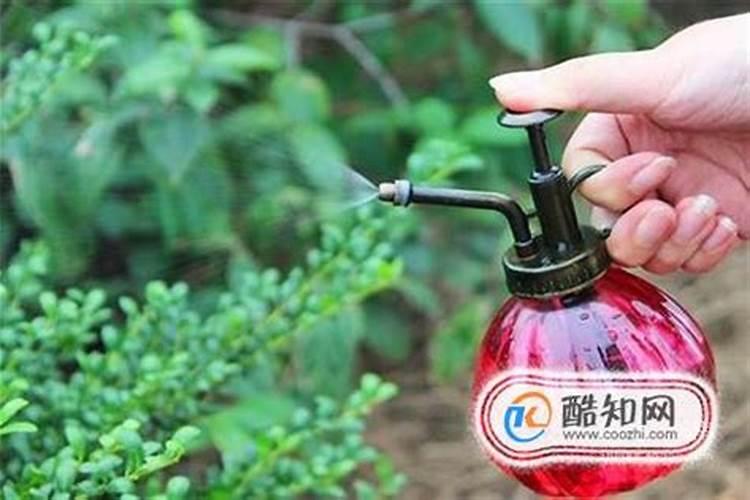 硫酸亚铁和磷酸二氢钾哪个浇花好