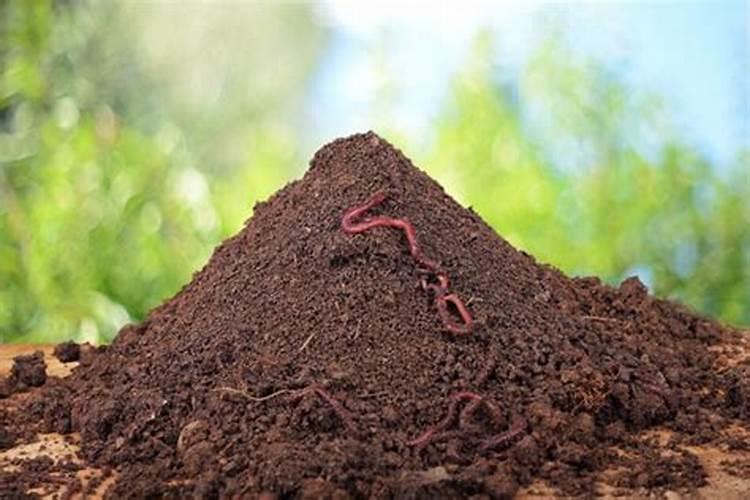 怎么让土里有蚯蚓