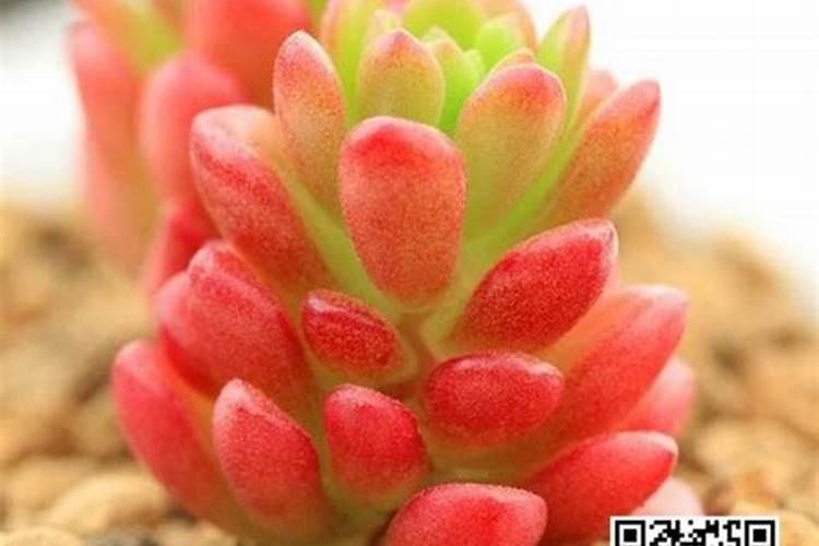 检测液体中的氮磷钾操作教程