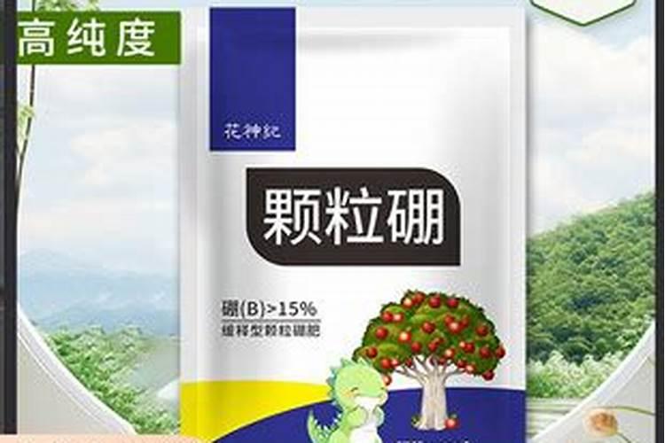 槟榔树保花保果用什么农药