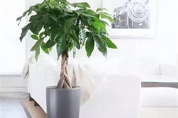 养花多久施一次肥？