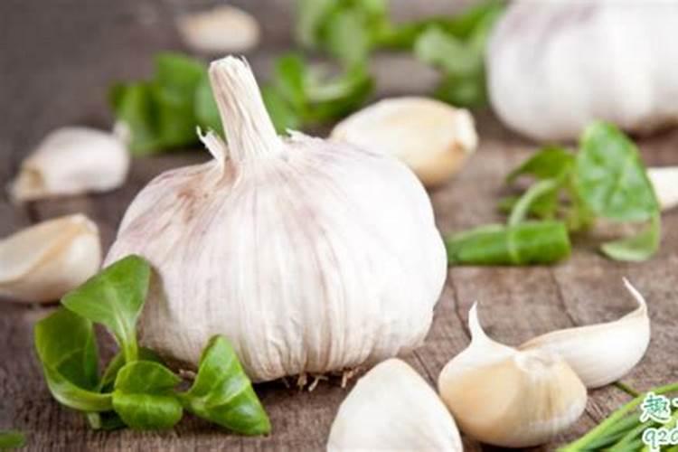 大蒜返青期应该如何喷农药？水肥管理有哪些讲究吗？