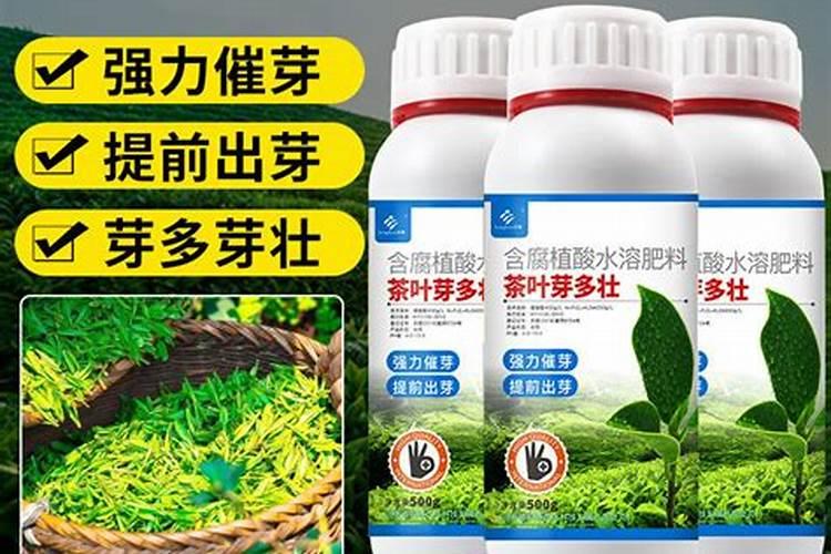 花芽分化用什么叶面肥