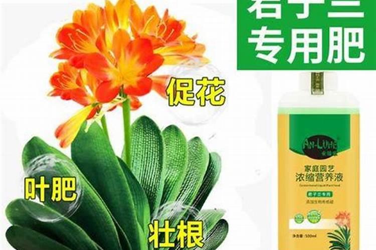 7.8月石榴树需要施肥吗？施什么肥料