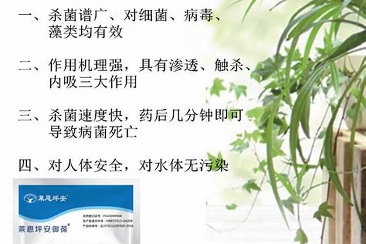 磷肥可以杀青苔吗