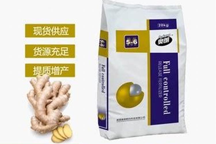 培土后不再对生姜浇水,是因为它有耐旱的特性吗？