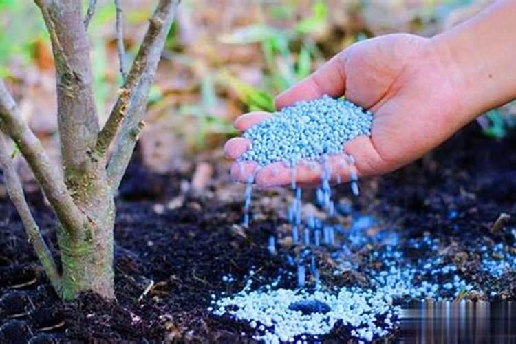 生产水溶肥需要办理哪些证件手续合法