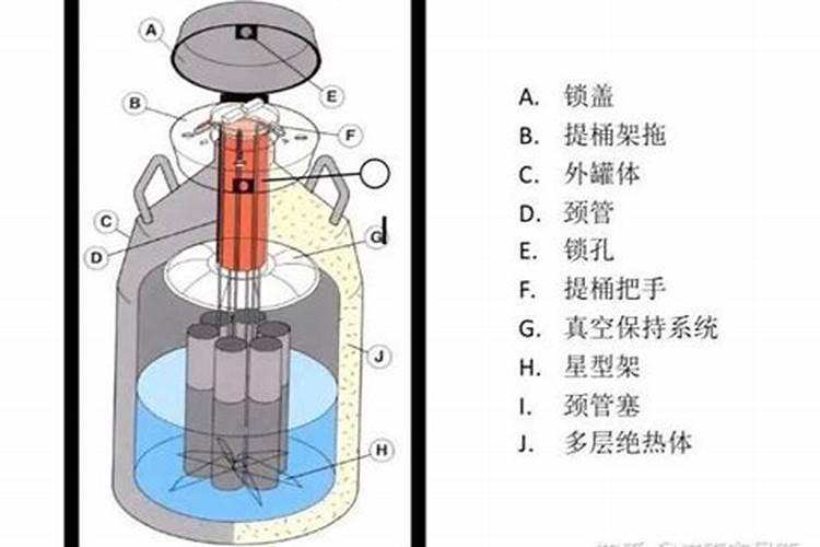 磷肥下地里多久能化了