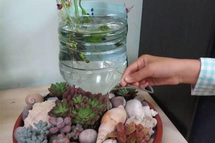 复合肥稀释多少倍可以给果树输液？