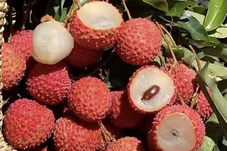 安基酸怎么生根