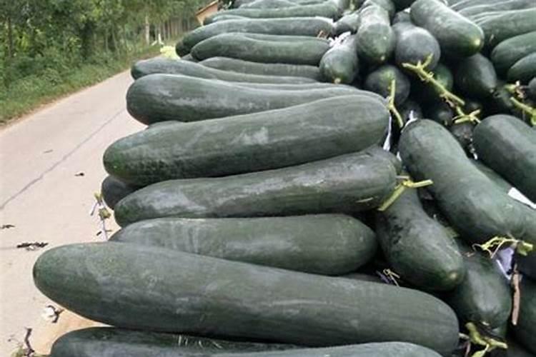 农作物硼肥过多中毒要怎么办