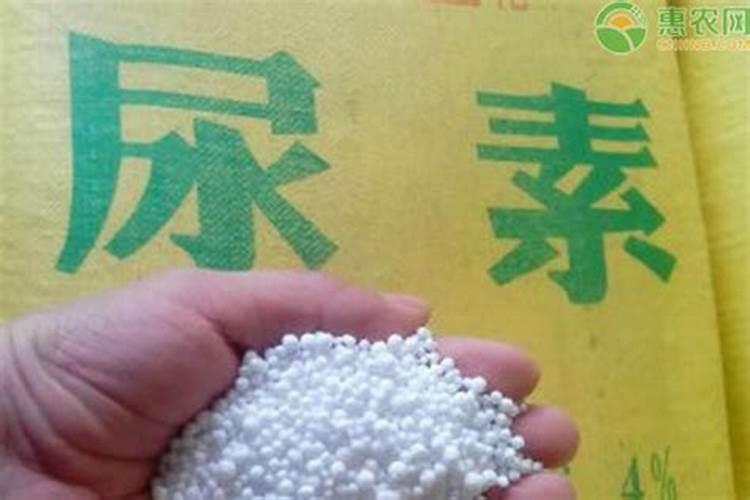 1克尿素要兑多少斤水浇花 (浇花使用尿素用量怎么配比)