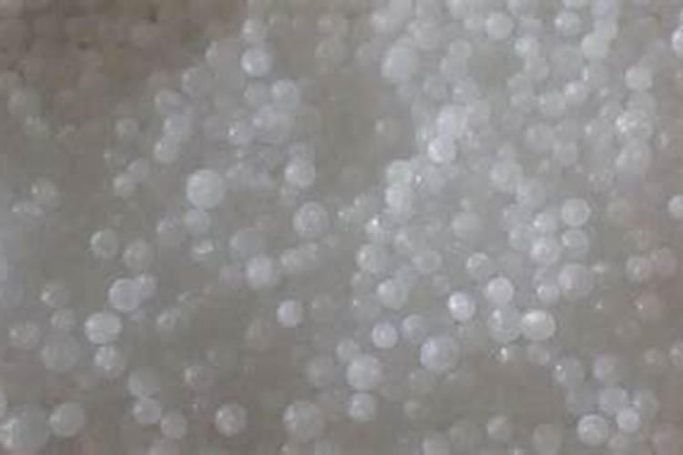 绿萝叶子小上什么肥料 叶子发黄用什么肥