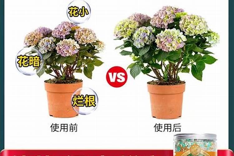 复合肥怎么往花上施肥？