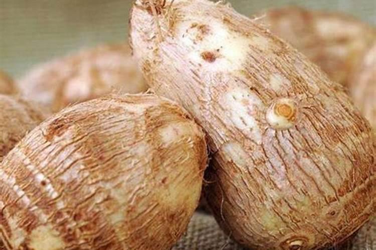 白兰花施什么肥？