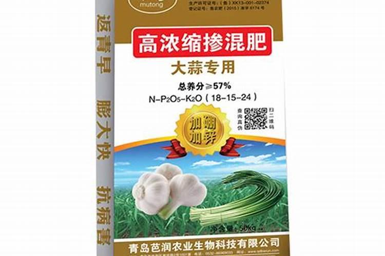 种独头蒜的方法