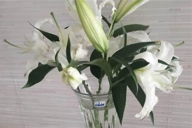 百合施肥方法及注意事项 春季百合怎么施肥