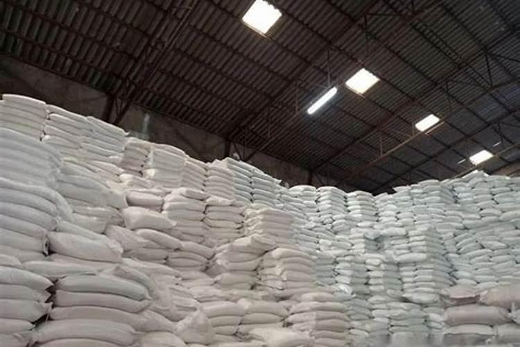 绿萝怎么养才能更旺盛用什么肥料